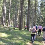 Anwandern am Marterlweg