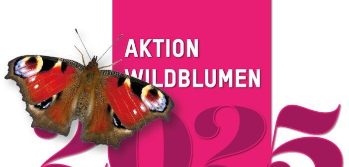 Blühende und Summende Steiermark   – auch Kammern im Liesingtal ist Partner der Aktion Wildblumen!