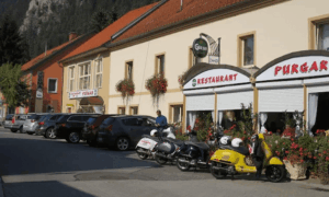 purgar
